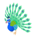 pájaro icon