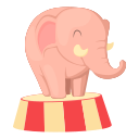 animal 