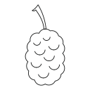 fruta icon