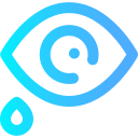 ojo icon