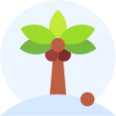 Árbol de coco icon