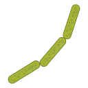 Лекарство icon