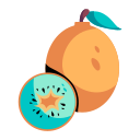 kiwi icon