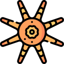 estrella de mar sol icon