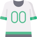 미식 축구 icon