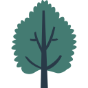 Árbol icon