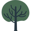 Árbol icon