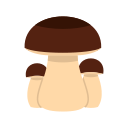 círculo 