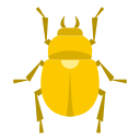 Insect 