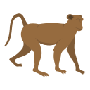 animal icon