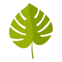 naturaleza icon