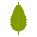 naturaleza icon