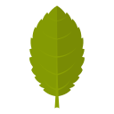 naturaleza icon