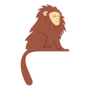 animal icon