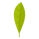 naturaleza icon