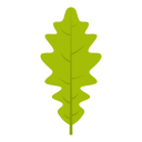 naturaleza icon