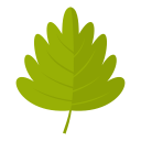 naturaleza icon