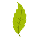 naturaleza icon