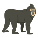 animal icon