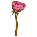 Rose icon