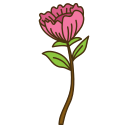 Rose icon