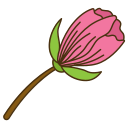 Rose icon