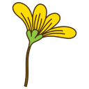 Flower icon