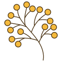 Acacia icon