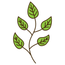 Leaves icon