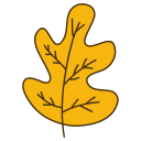 Oak leaf icon