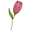 Tulip icon