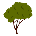 naturaleza icon