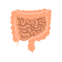 intestino icon