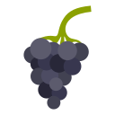 fruta icon