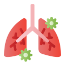 pulmones