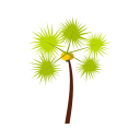 verão 