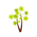 verão 