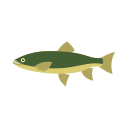 mer 