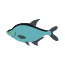 mer 