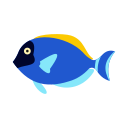 mer 