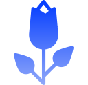 rosa icon