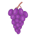 fruta icon