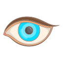 Œil icon