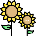 girasol icon