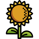 girasol icon