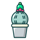 Mammillaria 