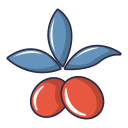 fruta icon