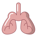 pulmones icon