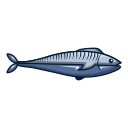 Animal icon