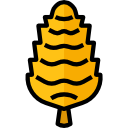 cono de pino icon